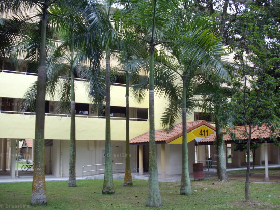 Blk 411 Pandan Gardens (Jurong East), HDB 3 Rooms #367652